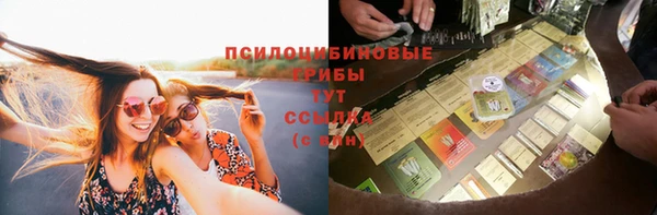 герыч Аркадак